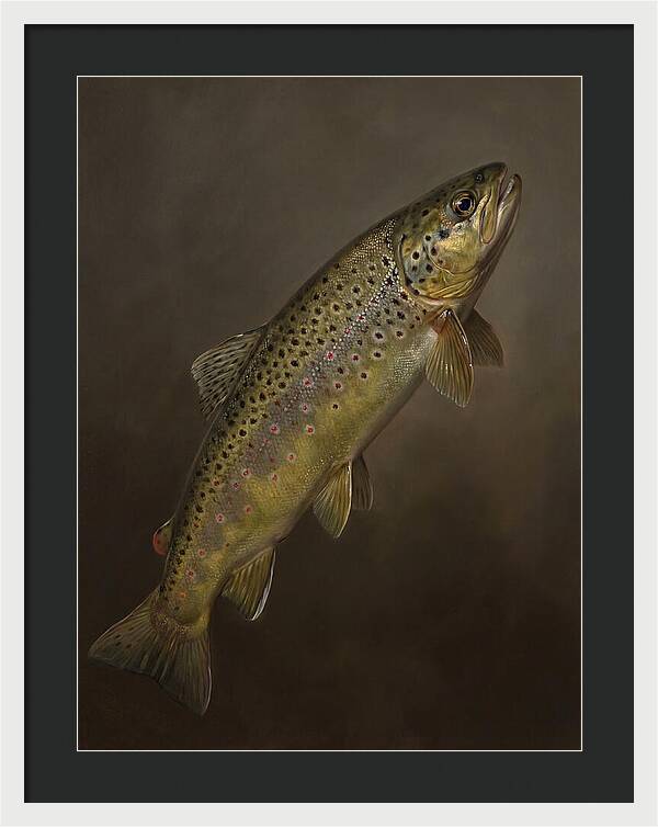 Brown Trout Realism