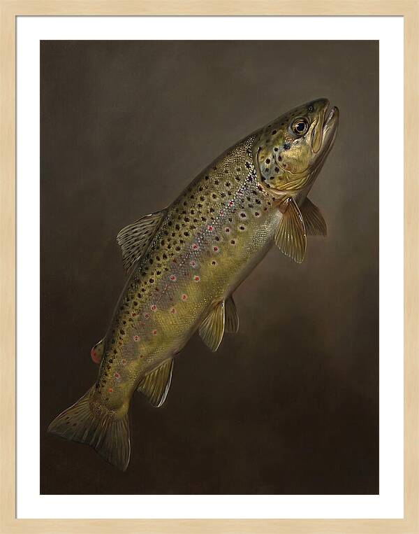 Brown Trout Realism