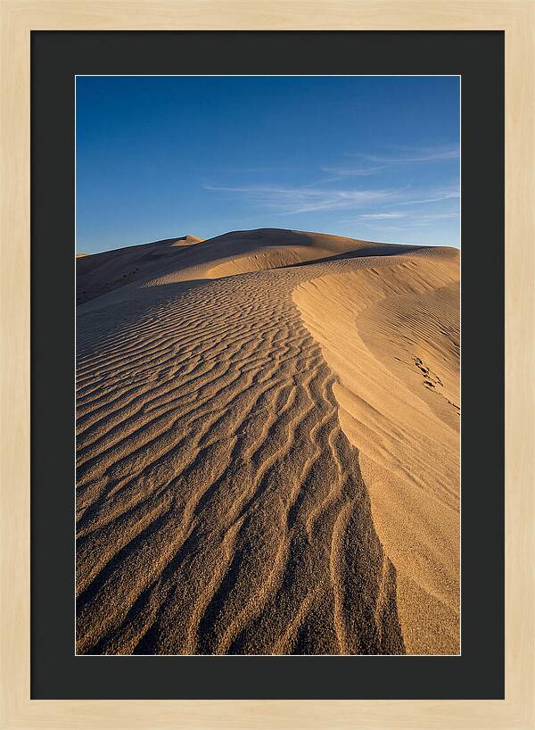Bruneau Dunes Tranquility