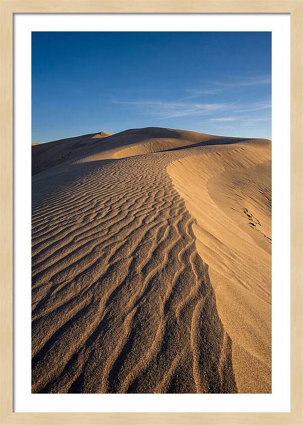 Bruneau Dunes Tranquility
