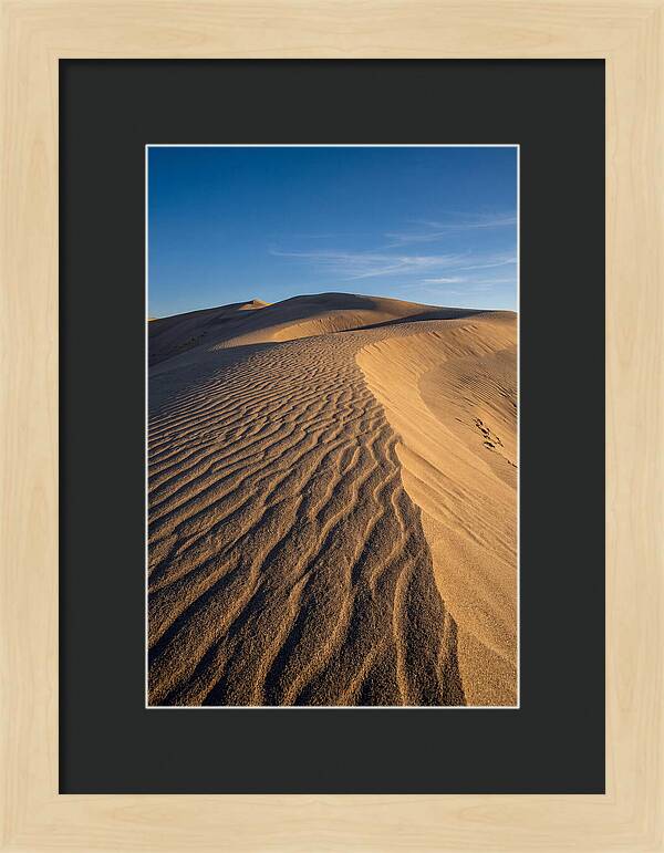 Bruneau Dunes Tranquility