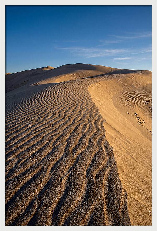 Bruneau Dunes Tranquility