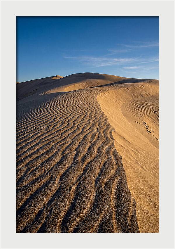 Bruneau Dunes Tranquility