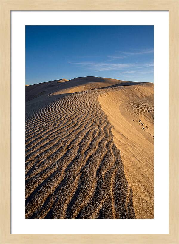 Bruneau Dunes Tranquility