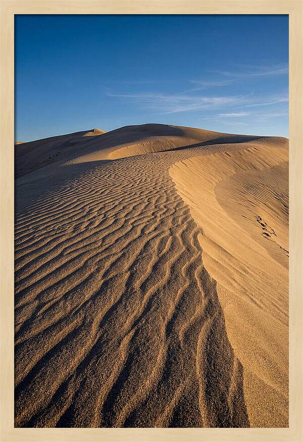Bruneau Dunes Tranquility
