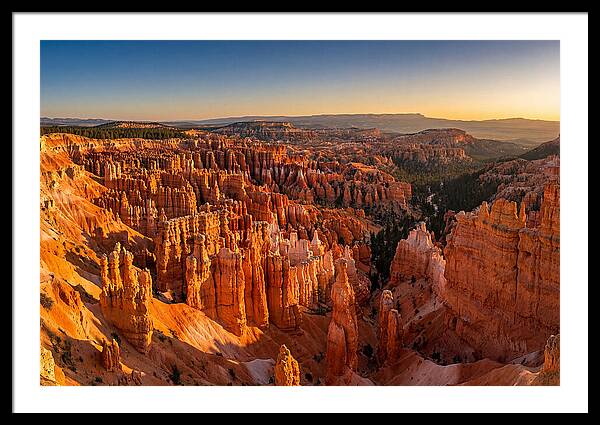 Bryce Amphitheater At Golden Hour