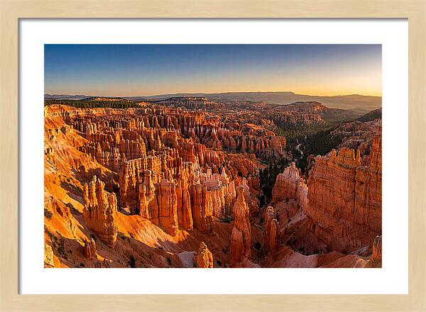 Bryce Amphitheater At Golden Hour