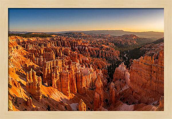 Bryce Amphitheater At Golden Hour