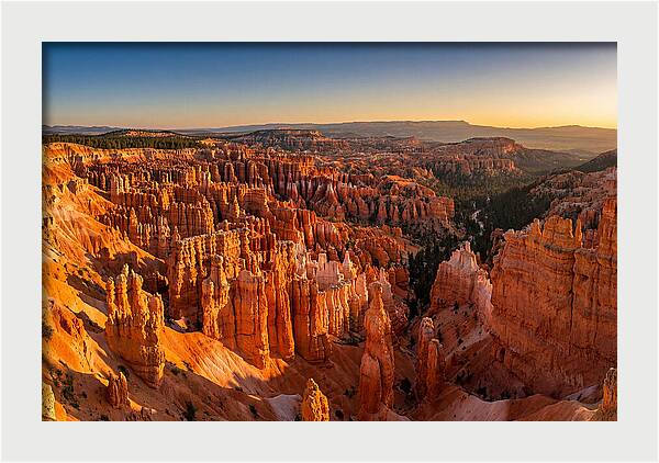 Bryce Amphitheater At Golden Hour