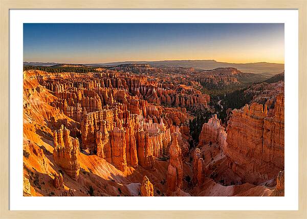 Bryce Amphitheater At Golden Hour