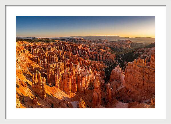 Bryce Amphitheater At Golden Hour
