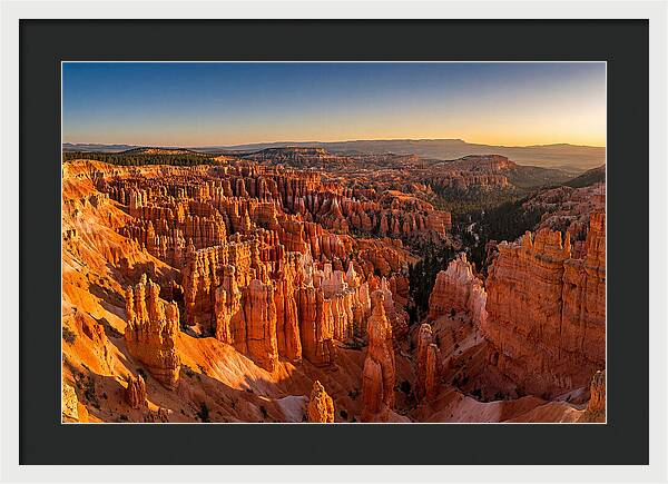 Bryce Amphitheater At Golden Hour