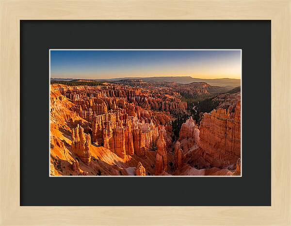 Bryce Amphitheater At Golden Hour