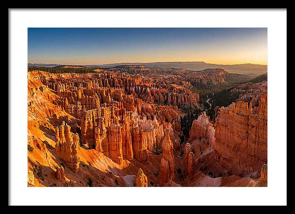 Bryce Amphitheater At Golden Hour