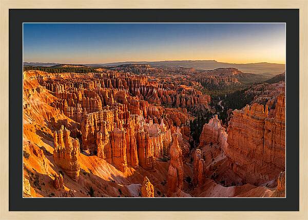 Bryce Amphitheater At Golden Hour