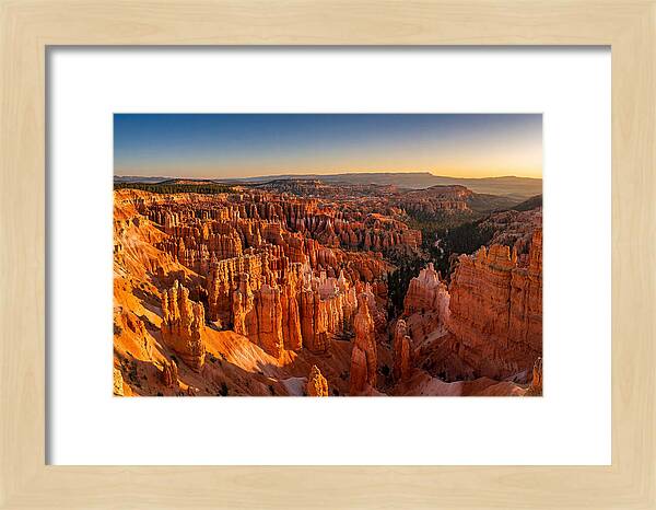 Bryce Amphitheater At Golden Hour