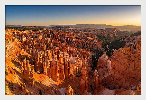 Bryce Amphitheater At Golden Hour