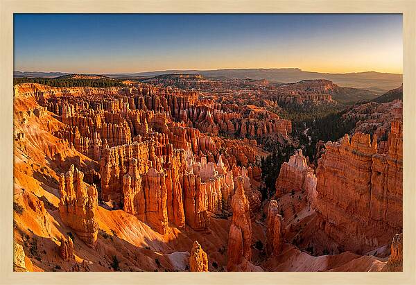 Bryce Amphitheater At Golden Hour