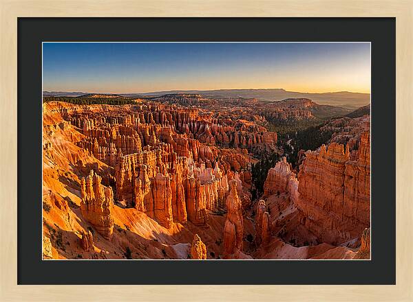 Bryce Amphitheater At Golden Hour