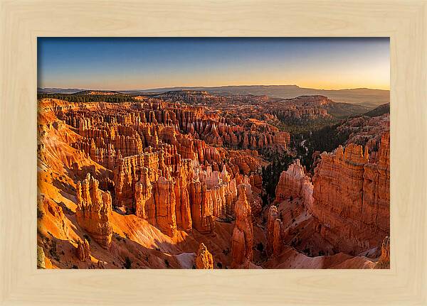 Bryce Amphitheater At Golden Hour