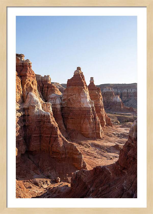 Bryce Canyon Hoodoos At Dusk