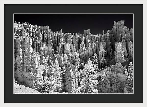 Bryce Canyon Hoodoos At Sunrise
