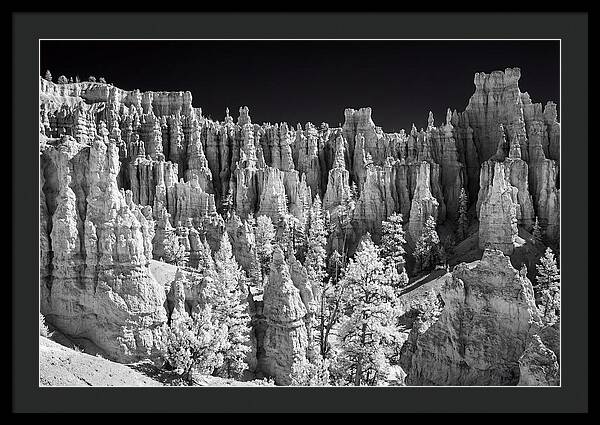 Bryce Canyon Hoodoos At Sunrise
