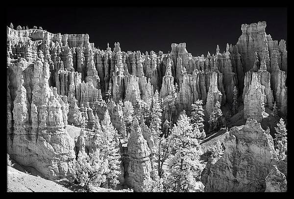 Bryce Canyon Hoodoos At Sunrise