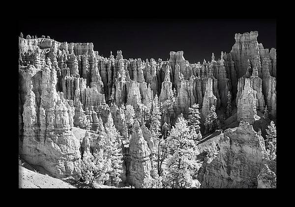 Bryce Canyon Hoodoos At Sunrise