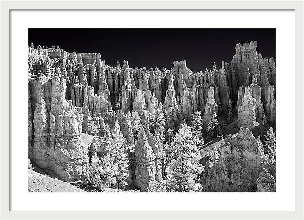 Bryce Canyon Hoodoos At Sunrise