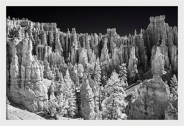 Bryce Canyon Hoodoos At Sunrise