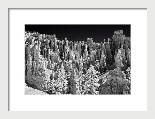 Bryce Canyon Hoodoos At Sunrise