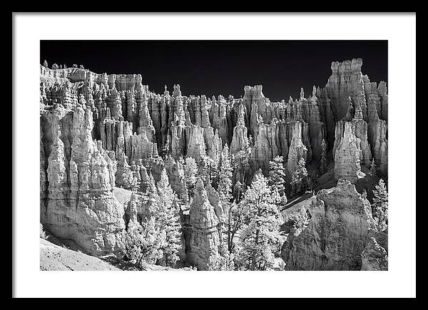 Bryce Canyon Hoodoos At Sunrise