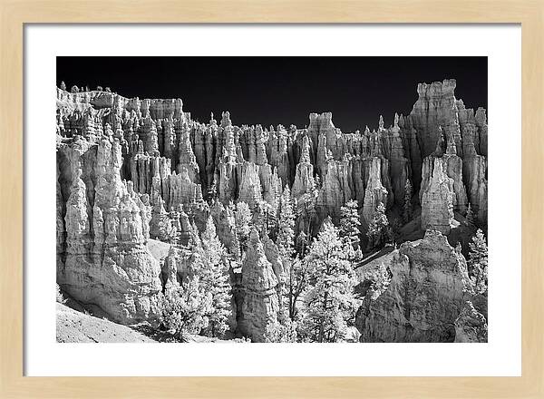 Bryce Canyon Hoodoos At Sunrise