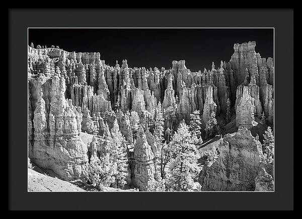 Bryce Canyon Hoodoos At Sunrise