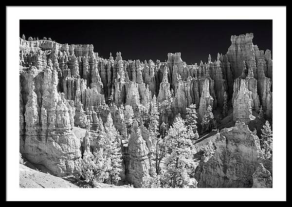 Bryce Canyon Hoodoos At Sunrise