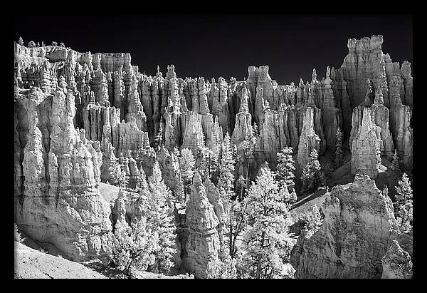 Bryce Canyon Hoodoos At Sunrise