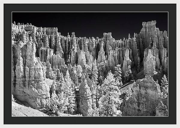 Bryce Canyon Hoodoos At Sunrise