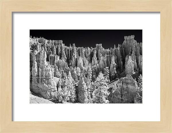 Bryce Canyon Hoodoos At Sunrise