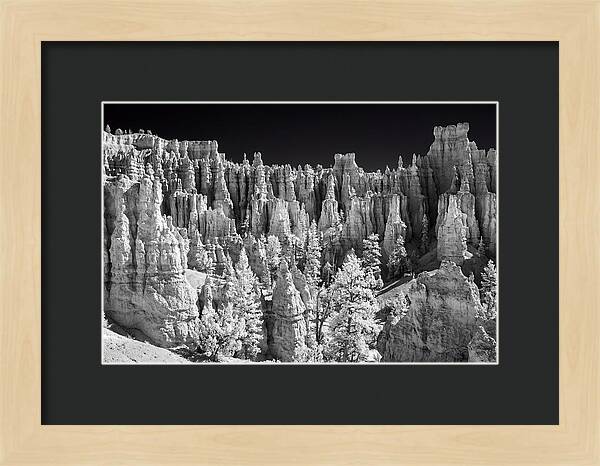 Bryce Canyon Hoodoos At Sunrise