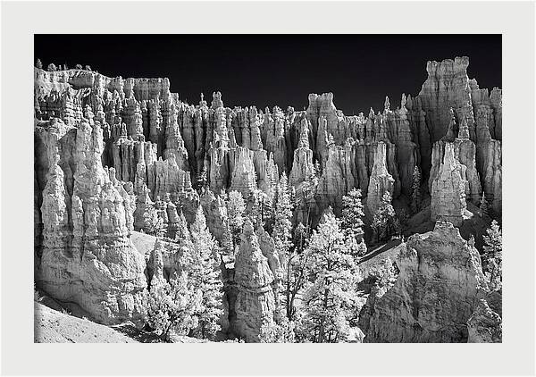 Bryce Canyon Hoodoos At Sunrise