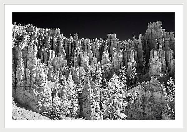 Bryce Canyon Hoodoos At Sunrise