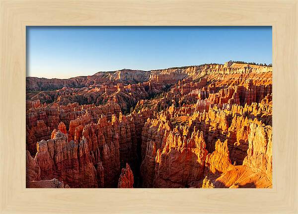 Bryce Canyon Panoramic Vista