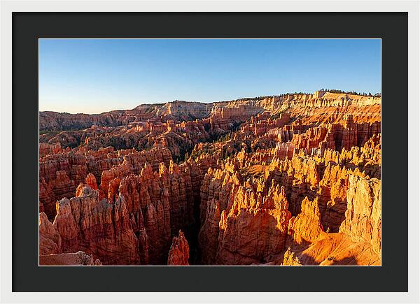 Bryce Canyon Panoramic Vista