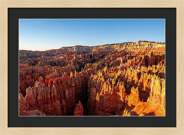 Bryce Canyon Panoramic Vista