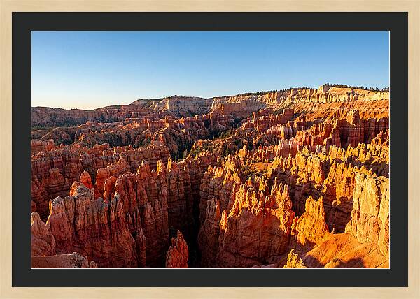 Bryce Canyon Panoramic Vista