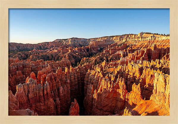 Bryce Canyon Panoramic Vista