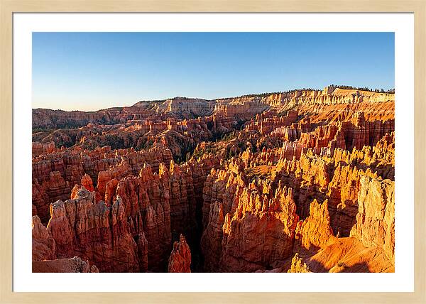 Bryce Canyon Panoramic Vista