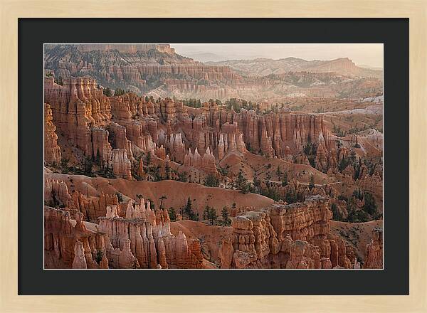 Bryce Canyon Sunrise Over Hoodoos