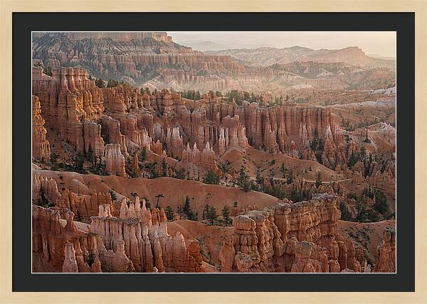 Bryce Canyon Sunrise Over Hoodoos